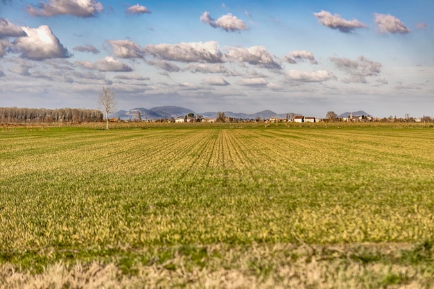 Photo rural panorama of the po valley