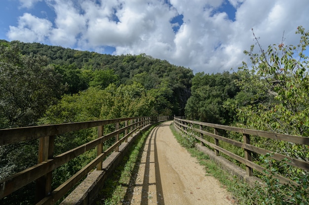 写真 木の塀の間の田舎道、平和