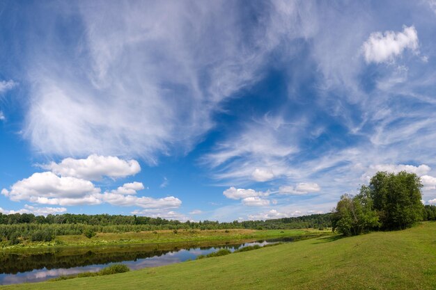 夏の緑に囲まれた田舎の川 屋外の緑の中の夏の川 夏の田舎の川 夏の川の風景