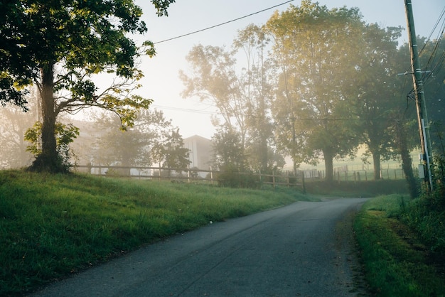 Photo rural road in fog on the mornin spain