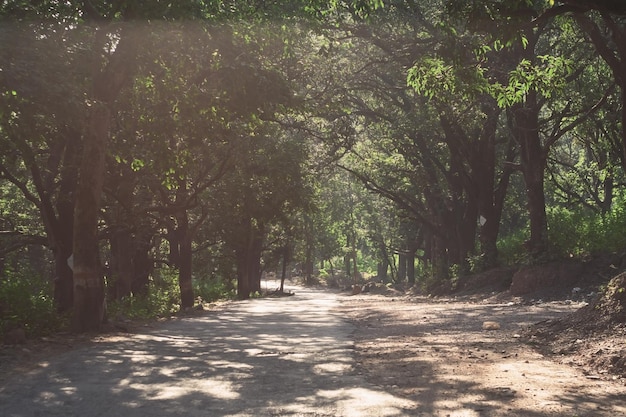 Strada rurale nella foresta vicino al villaggio di rishikesh in uttarakhand india