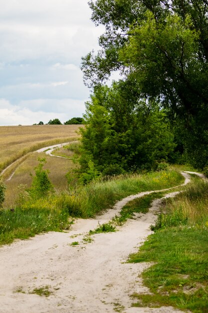 Rural road near the collective farm field with wheat