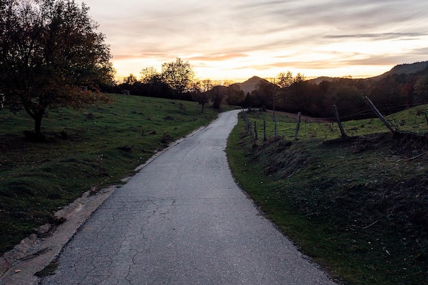 Rural road at sunset through a meadow