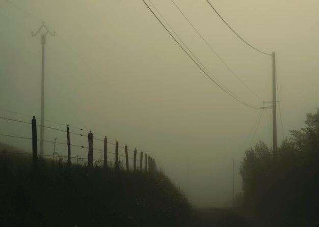 Rural road with fog in spring