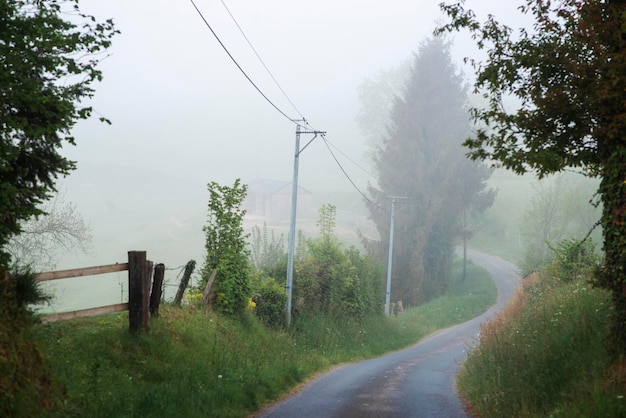 春に霧のある田舎道