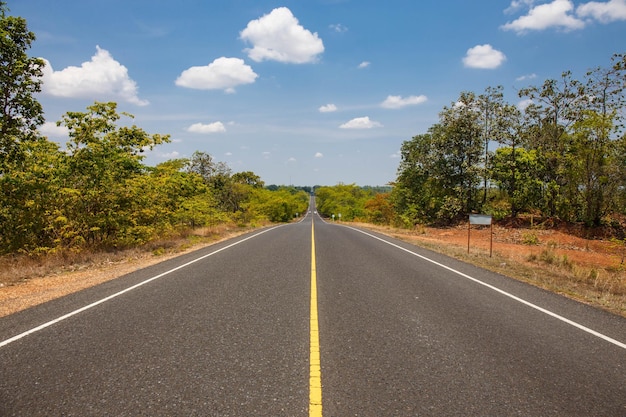 Rural road with forest