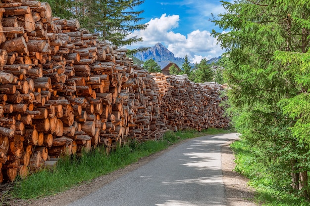 Rural road with harvested firewood for the winter.