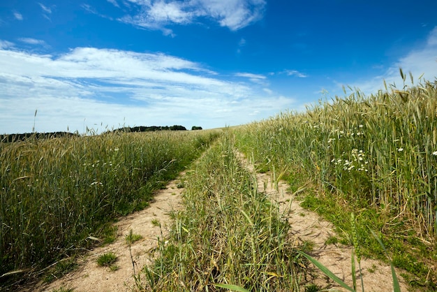 The rural road