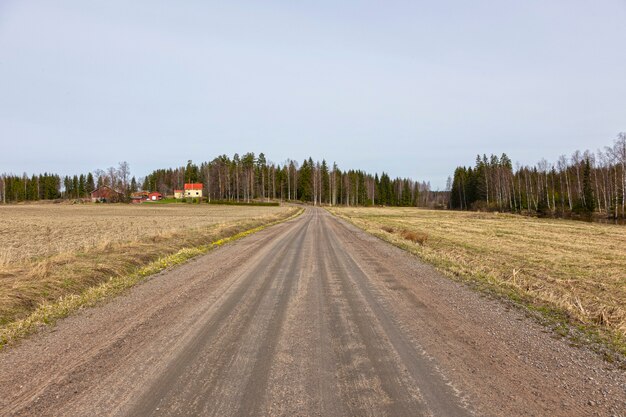 сельская дорога