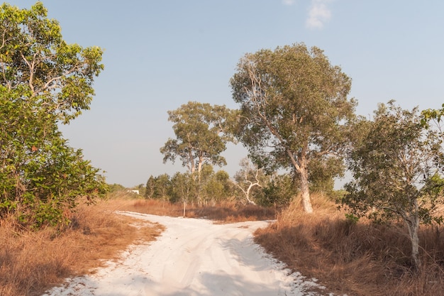 Rural Roads.Rural Village Landscape