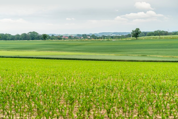 rural scenery in Hohenlohe