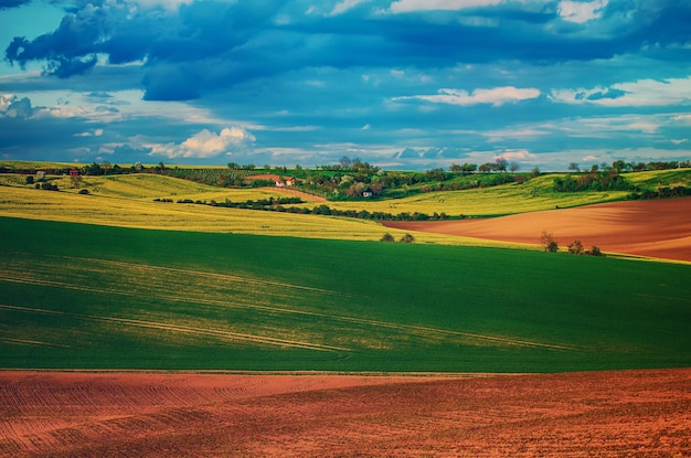 Foto paesaggio primaverile rurale