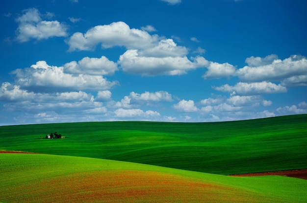 Rural spring landscape