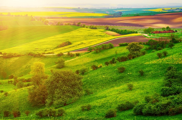 Rural spring landscape