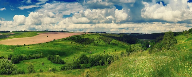 Rural spring landscape