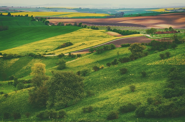 Rural spring landscape