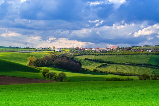 Rural spring landscape