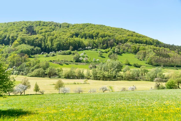 rural springtime scenery