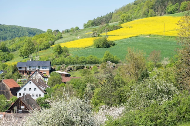 rural springtime scenery