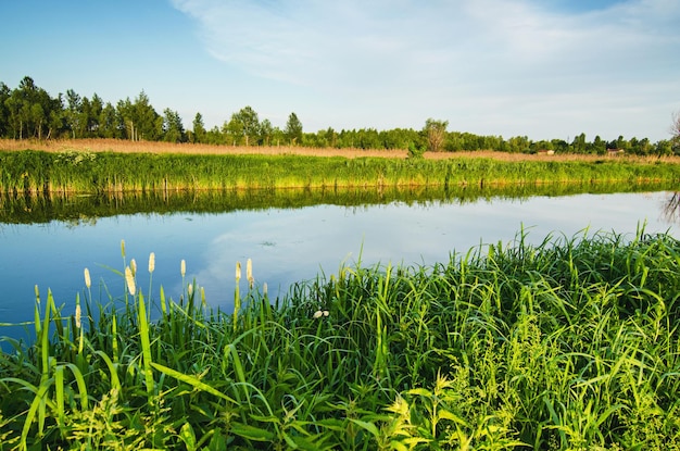 Rural summer landscape with river, green grass and blue sky