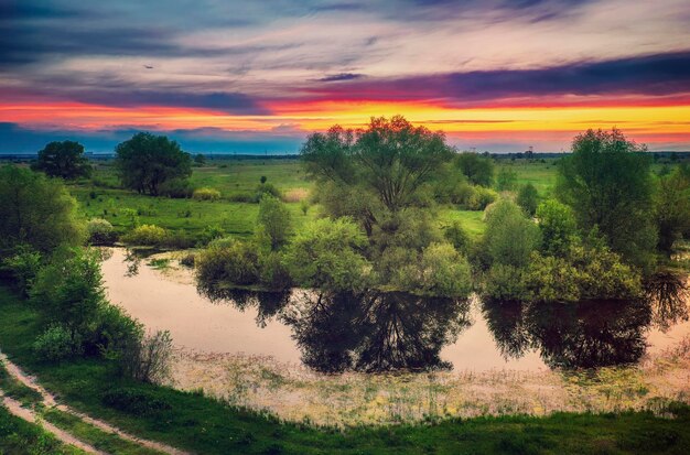 Rural summer sunset