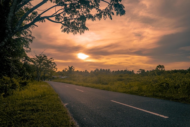 Rural sunset landscape with empty road