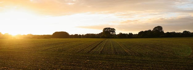 Foto il tramonto rurale