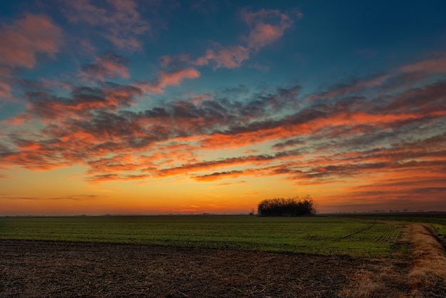 Rural sunset