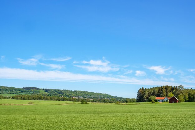 Photo rural view with a farmhouse on a field