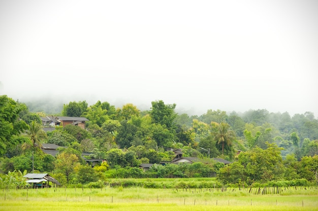 Rural villages of Thailand in the Asian zone and rice fields among the mountains