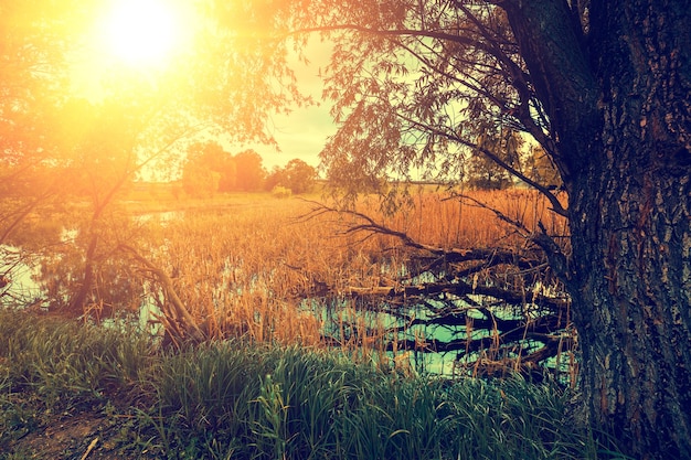 魔法の夕日の湖と田舎の野生の風景