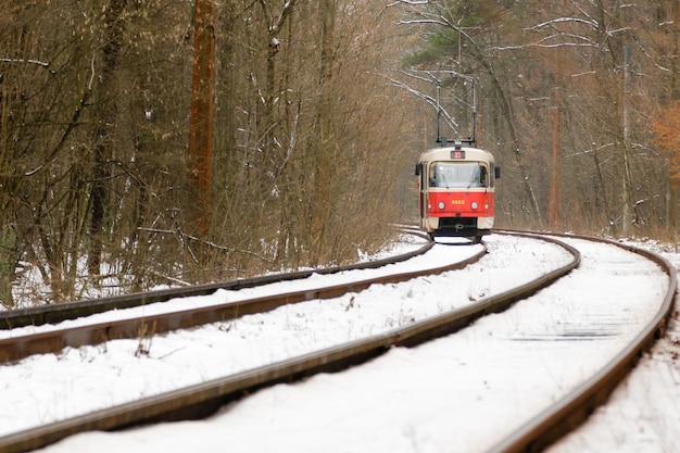 Rushing tram through the winter forest