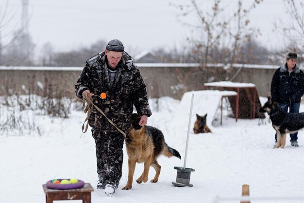 Rusland Ivanovo 24 december 2017 een wedstrijd voor honden het plezier begint in de wintereditorial