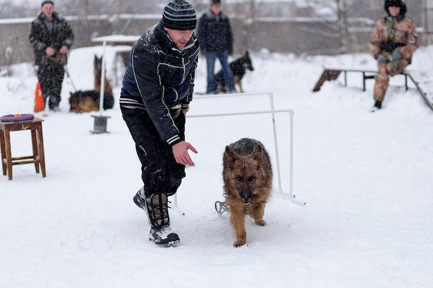 Rusland Ivanovo 24 december 2017 een wedstrijd voor honden het plezier begint in de wintereditorial