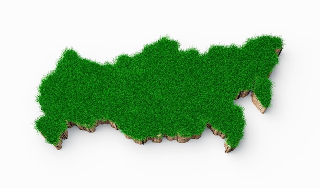 Rusland kaart bodem land geologie dwarsdoorsnede met groen gras en rotsgrond textuur 3d illustratie