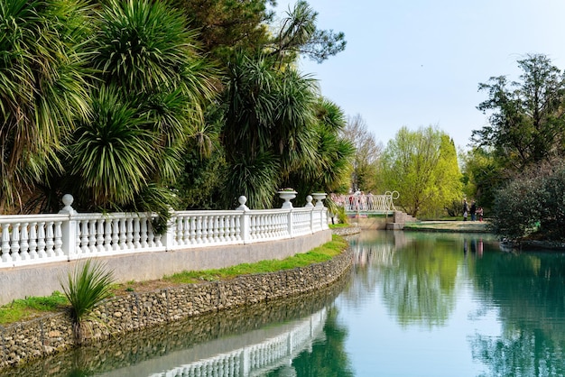 Russia city of Sochi Adler district park Southern cultures Pond with reflection of treesx9xA