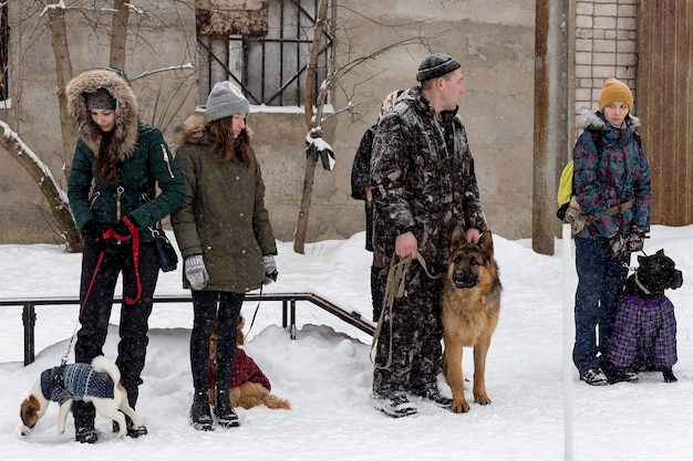 Russia Ivanovo Dec 24 2017 a Competition for dogs the fun starts in wintereditorial