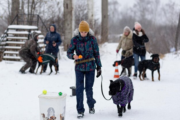 Russia Ivanovo Dec 24 2017 a Competition for dogs the fun starts in wintereditorial