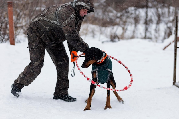 Russia Ivanovo Dec 24 2017 a man plays with a Doberman in the winter editorial