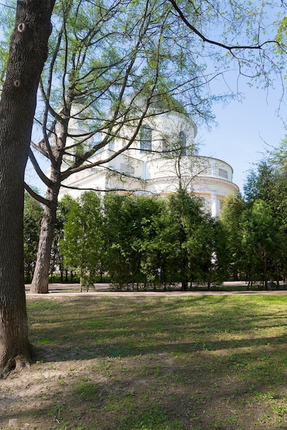 Foto chiesa russa dagli alberi