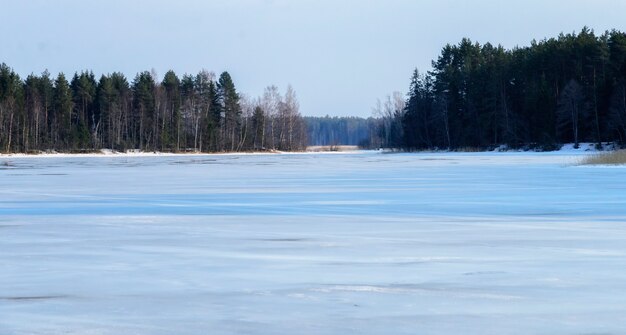 写真 セリゲル湖の森のロシアの早春