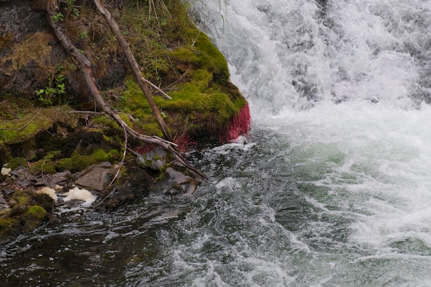 Russian Falls, in Kenai Peninsula, Alaska