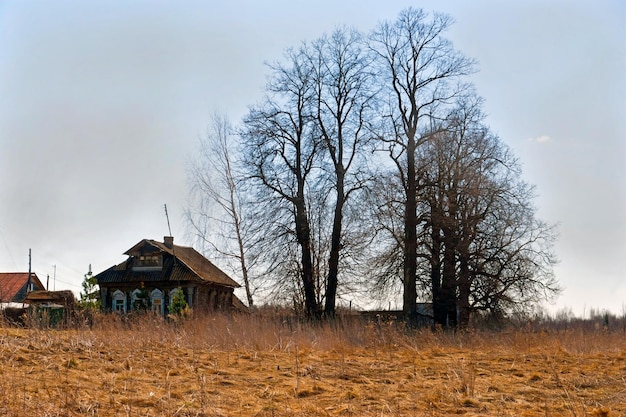 Russisch dorpslandschap. regio Yaroslavl. mei 2009