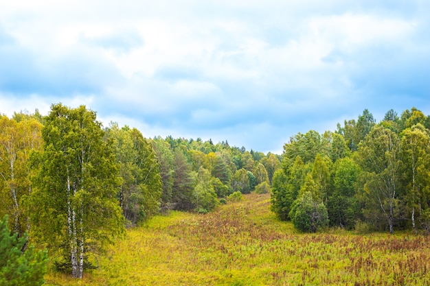 Russisch veld en gemengd bos op een zomerdag, natuurlijk landschap
