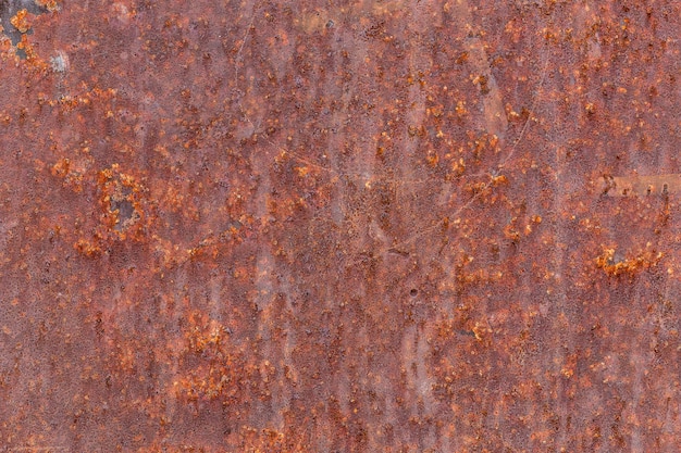 Photo rust