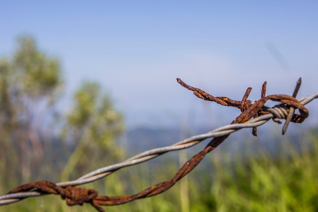 Photo rusted wire hanging