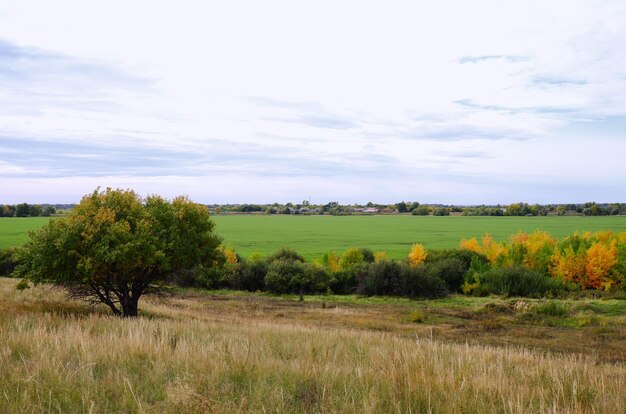 Rustic autumn landscape Grass meadow and village houses in the countryside