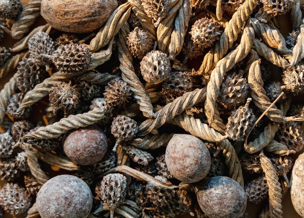 Rustic background natural composition cone nut mix