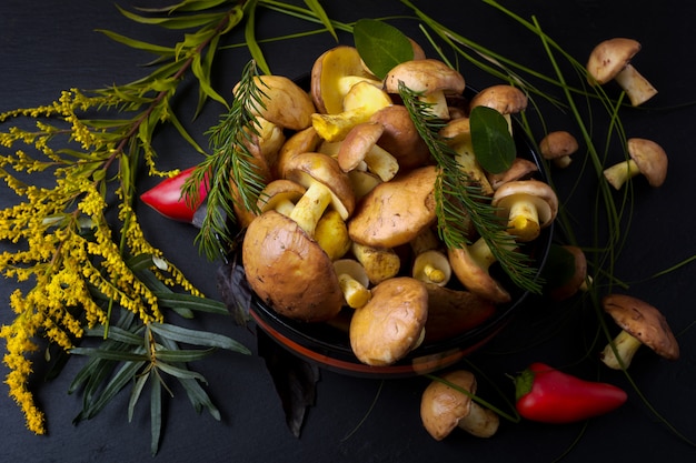 Rustic bowl with forest mushrooms