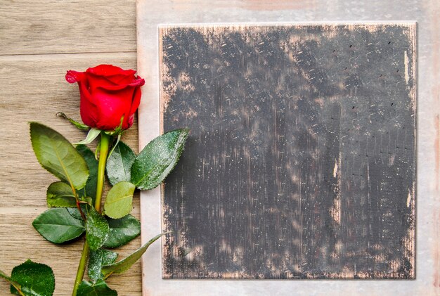 Foto bacheca di legno scuro rustica della fresca rosa rossa